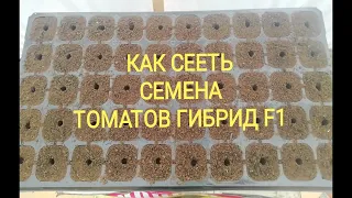 КАК СЕЯТЬ СЕМЕНА ТОМАТОВ ОГУРЕЦ ГИБРИД/ДЛЯ ТЕПЛИЦЫ