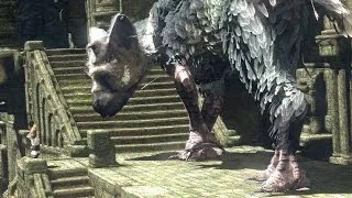 The Last Guardian Sony Conference Reactions - IGN Live: E3 2015