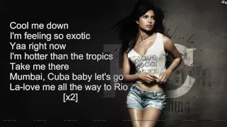 Priyanka Chopra - Exotic ft Pitbull ( Official Karaoke )