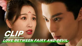 Dongfang Caught Orchid Meet With Changheng | Love Between Fairy and Devil EP21 | 苍兰诀 | iQIYI