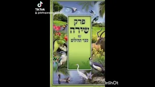 חלום על פרקי שירה שירת הבריאה