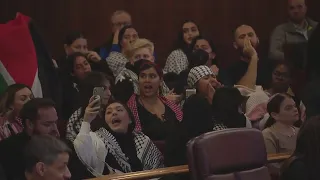 Israel-Palestine: Chicago City Council meeting gets heated