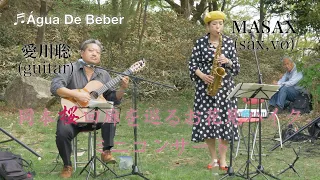 岡本桜回廊を巡るお花見ハイク ミニコンサート「Água De Beber」