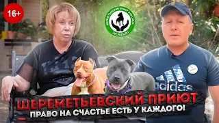 Шереметьевский приют. Право на счастье есть у каждого!