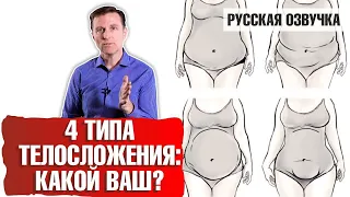 4 типа телосложения: какой ваш? (русская озвучка)