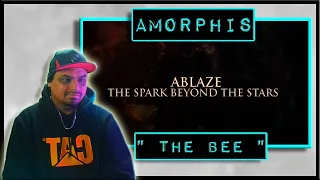 First time listening this band definitely a fan! Amorphis-  " The Bee " Reaction