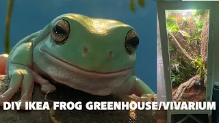 DIY IKEA Greenhouse/Vivarium for Whites Tree Frogs