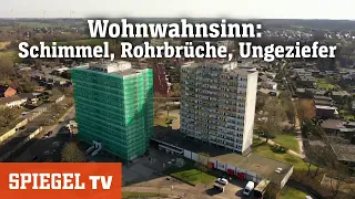 Wohnwahnsinn: Schimmel, Ungeziefer, Rohrbrüche und kein Heißwasser | SPIEGEL TV