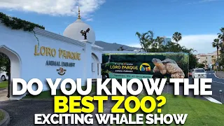 🐳 LORO PARK Tenerife whale show. Canary Islands Spain 2023