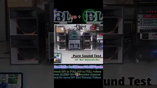 Pure Sound Test DIY BLive + BL2 Speaker Box @AleksOnDIY