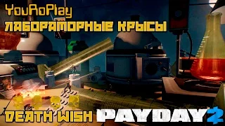 Payday 2. Как быстро пройти лабораторные Крысы.Жажда смерти.Death Wish.