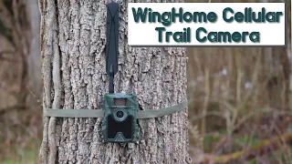 WingHome 480ACE Cellular Trail Camera Field Test and Review 24MP