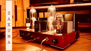 VV300B/845pp power amplifiers: a masterpiece by the great Susumu Sakuma. [audiophile hi-fi high-end]