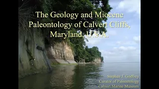 Miocene Fossils of Calvert Cliffs (09/09/2021) Stephen J. Godfrey PhD