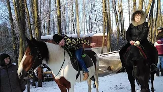 Катание на лошадях в Шуваловском парке в С.-Пб.