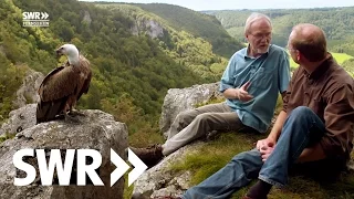 Spuren im Stein - Die Geschichte der Schwäbischen Alb | SWR Geschichte & Entdeckungen