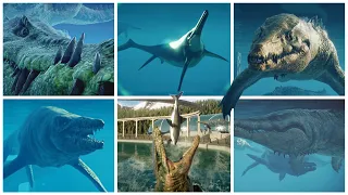 All 12 Prehistoric Marine Species - UPDATED 2023 - New DLC Content!