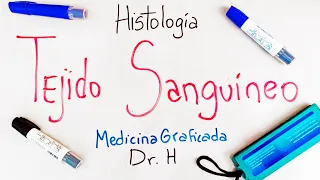 TEJIDO SANGUÍNEO - SANGRE - HISTOLOGÍA