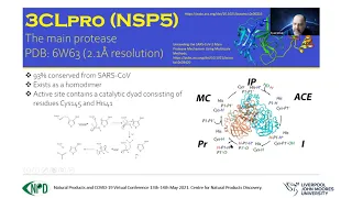 CNPD CONFERENCE 2021: Dr Ismail Nature vs. artificial intelligence guided synthesis against COVID19