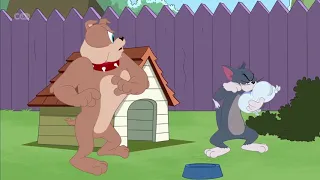 The Tom And Jerry Show