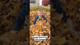 Pixel 6 Pro test footage #google #pixel6pro #review