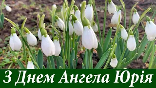 З Днем Святого Юрія 23 квітня! Юрій Весняний! Юріїв день! Привітання для Юрія! З Днем Ангела Юрія