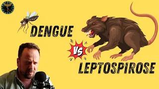 Como diferenciar LEPTOSPIROSE X DENGUE? - Renato Cassol Médico Infectologista