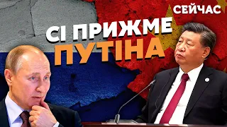 ❌ПУТІНА змусять ВИВЕСТИ ВІЙСЬКА! Шейтельман: Сі поставить УЛЬТИМАТУМ. Диктатор у ПАСТЦІ