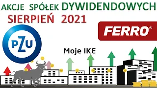 24. Moje IKE - Sierpień 2021 - PZU, Ferro - akcje, spółki dywidendowe