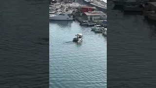 Аланья как собирают мусор в воде Съемка из отеля NUMA port