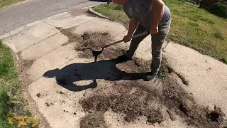 SATISFYING Overgrown Neglected Lawn TRANSFORMATION