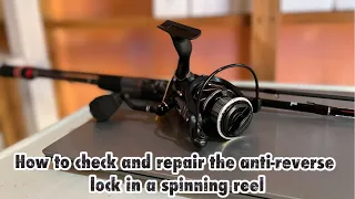 How to Check & Repair the Anti-Reverse lock in a Spinning Reel