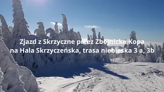 Trasa narciarska zjazd z Skrzyczne przez Zbójnicką Kopę na Halę Skrzyczeńską