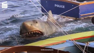 Jaws 2: Brody to the rescue HD CLIP