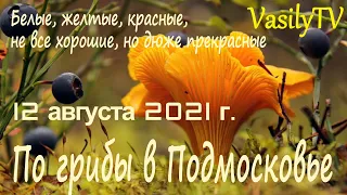 🌳По грибы в Подмосковье 12 августа 2021🌳Белые, желтые, красные, не все хорошие, но дюже прекрасные