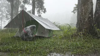 Endless Heavy Rain Camping - Relax Alone in a Comfortable Tent, Toast, ASMR