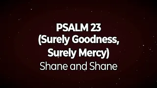 Psalm 23 (Surely Goodness, Surely Mercy) Lyric Video