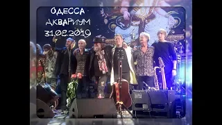 Борис Гребенщиков, Аквариум (Концерт в Одессе 31.08.2019)
