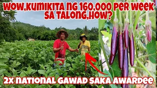 Paano Kumita ng Milyon sa Talong Farming? Secrets Revealed