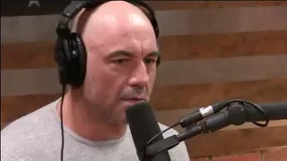 Joe Rogan on CTE & Contact Sports