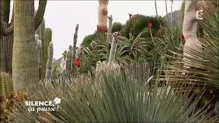 Le jardin exotique d’Eze - Silence, ça pousse !