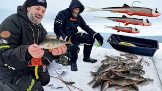 Nyt purasi - Ahvenen pilkintää uutuusjigillä - Jasu Puru