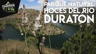 MAGIA PURA: PARQUE NATURAL HOCES DEL DURATÓN (ESPAÑA) || CaminanTr3s, El tercero eres tú!!