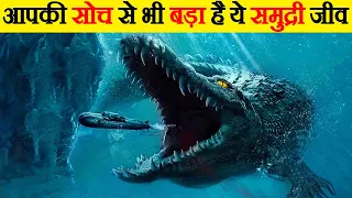 ये समुद्री जीव इतने बड़े कैसे हो गए ? | Why Deep-Sea Creatures Evolve into Giants?