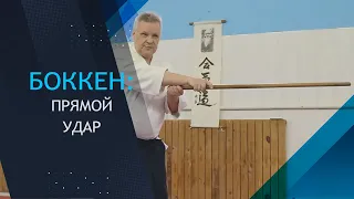 Боккен: прямой удар.