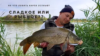 НА ЧТО ЛОВИТЬ КАРПА ОСЕНЬЮ??? СЛАДКОЕ ИЛИ РЫБНОЕ??