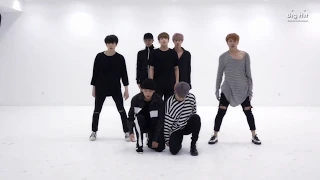 BTS 'Blood Sweat & Tears' ( Dance Practice)