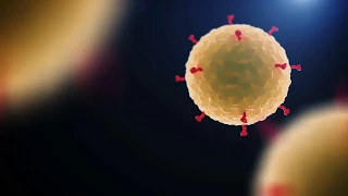 Coronavirus. Da oggi tutta l'Italia è "zona protetta"