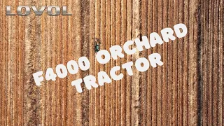 Professional Orchard Tractor Winter Operation｜Lovol