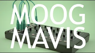 Moog Mavis Synthesizer Review